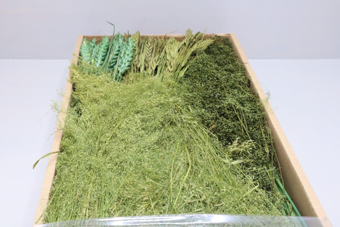 Gräser sort. 350 gr. oliv26