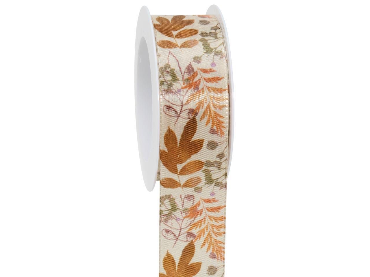 Band Herbstfarben 40 mm 15 Meter 02 natur