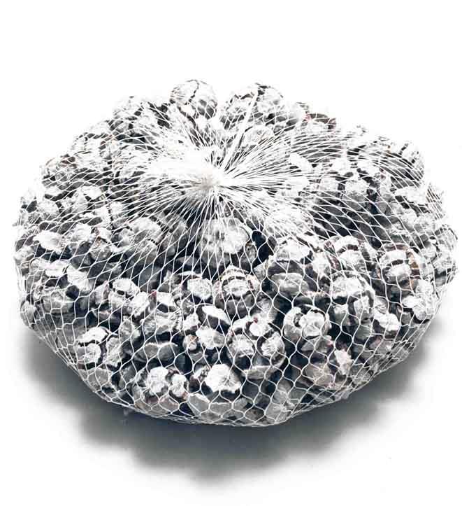 Zapfen Pinus Cypressus 2 kg white washed