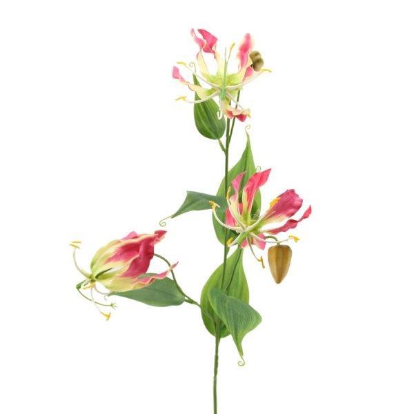 Lilie Gloriosa Zweig 3 Blüten+ 2 Knospen H84cm pink-gelb