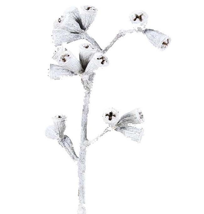 Eucalyptuskreuzzweig D2L35-40cm white washed