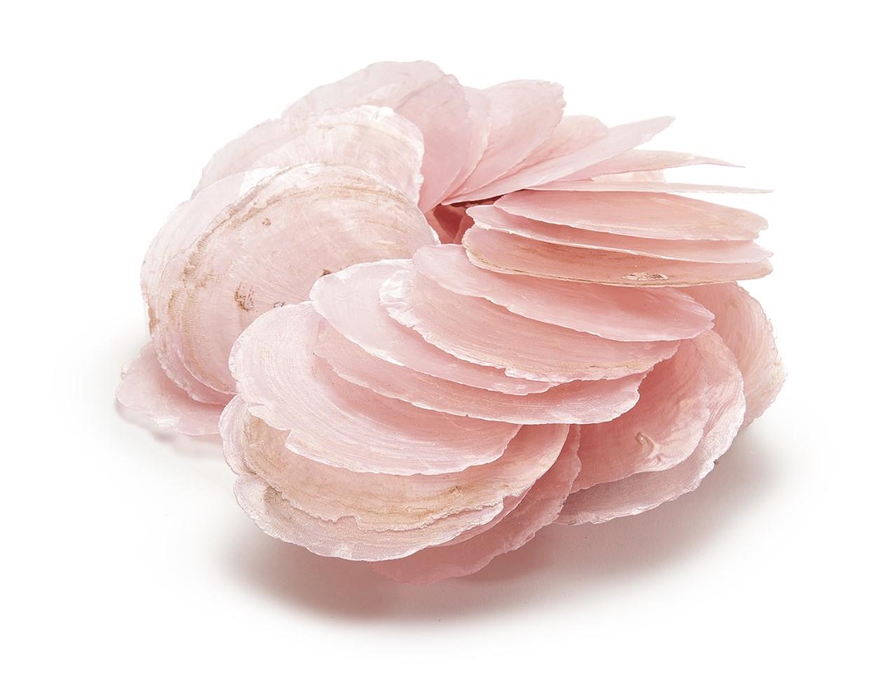 Capizmuschel rosa nude 250gr. Capizmuschel rosa nude 250gr.