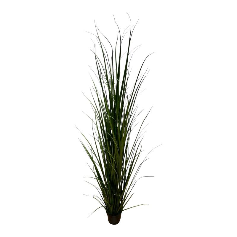 Grasbusch 180 cm im Topf grün Grasbusch 180 cm im Topf grün