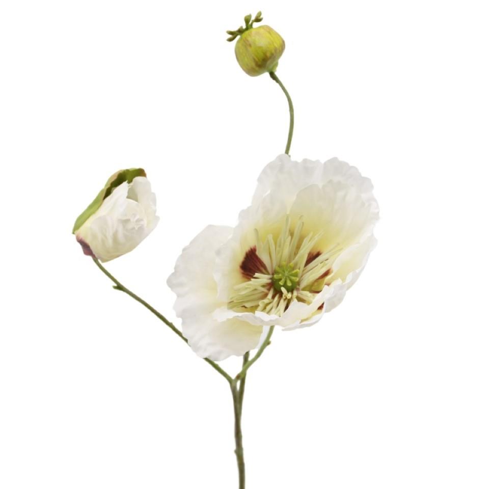 Mohn x 3 weiss H58cm