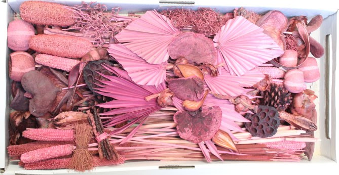 Exotensortiment indisch altrosa großer Karton Exotensortiment indisch altrosa großer Karton