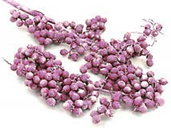 Canella spezial große Beeren brombeer frosted