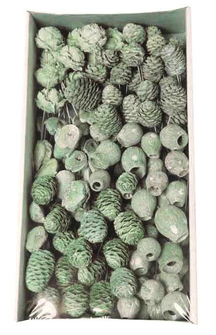 Leucodendron Sortiment am Draht kiwi-grün frosted