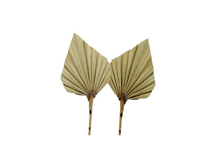 Palmspeer mini natur