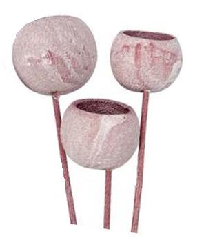 Bell Cup gestielt D7 L55cm altrosa forsted