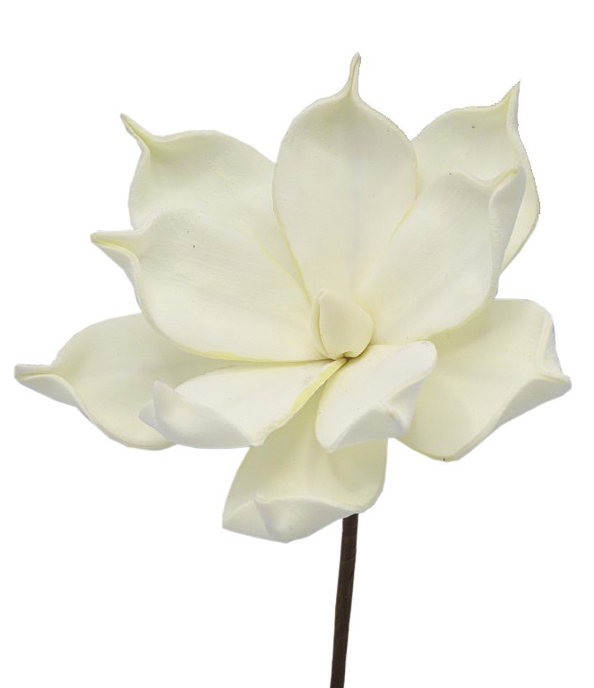 Magnolie Foam creme D18cm