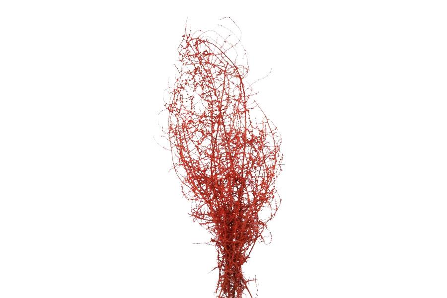 Stoebe 150gr. rot frosted Stoebe 150gr. rot frosted