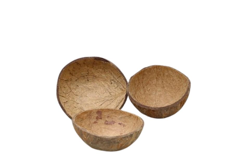 Cocosnussschale 12-14cm natur Cocosnussschale 12-14cm natur