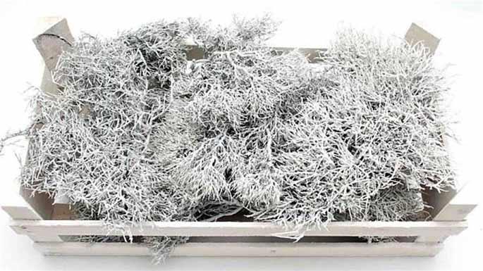 Ironbush white washed Holzbox Ironbush white washed Holzbox