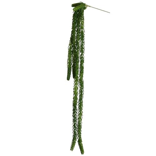 Sedumhänger 58cm grün