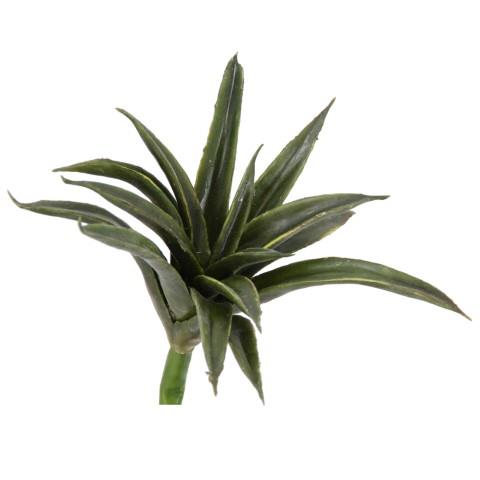 Aloe 24cm grün