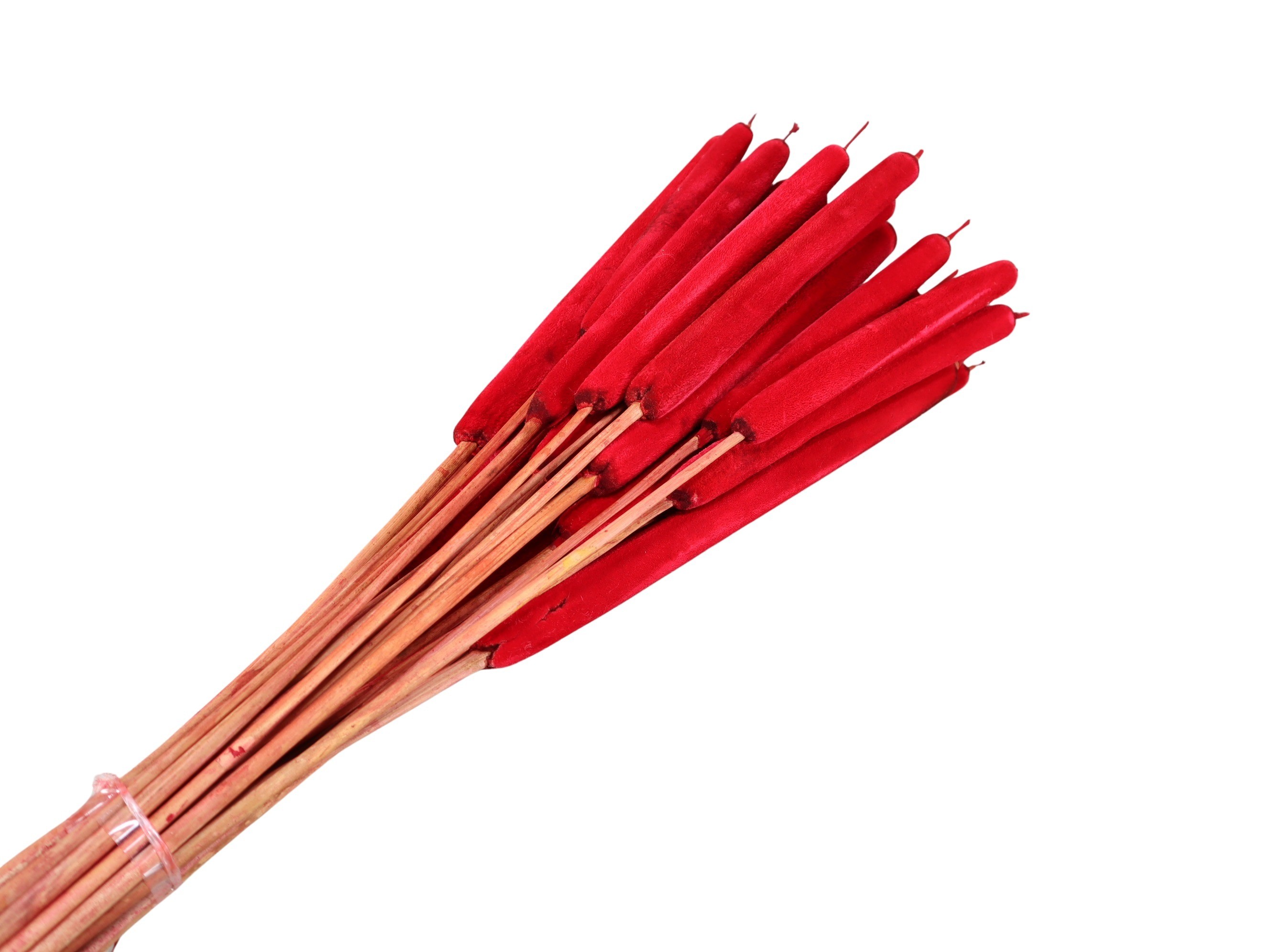 Schilfkolben groß D2,5-3H13-20L100cm geraspelt rot