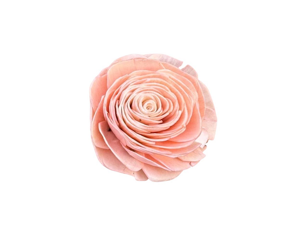 Rose Sola am Draht D6cm peach