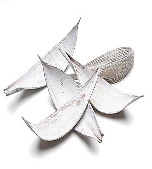 Cocosschalen L25-35B9-10cm white washed