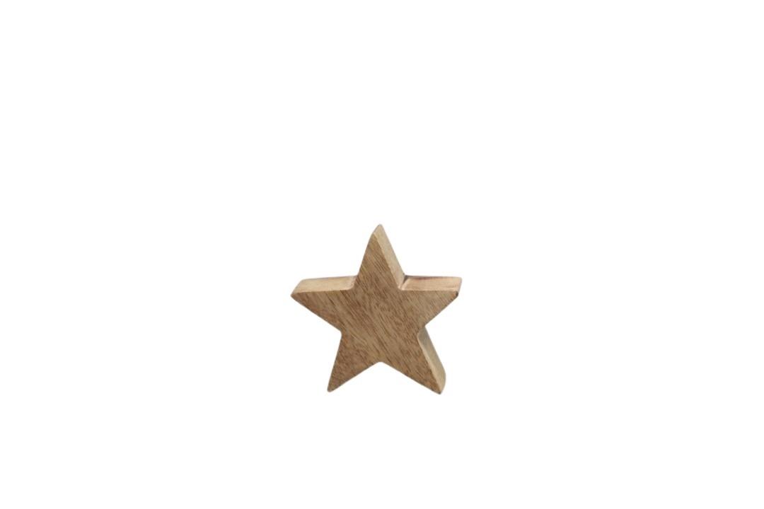 Stern stehend Mangoholz natur D10x3,5cm