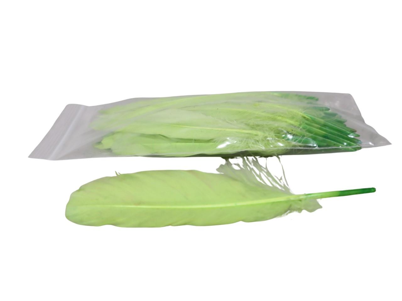 Federn hellgrün 20g/Btl. ca. 40 Stück Länge ca. 20cm Federn hellgrün 20g/Btl. ca. 40 Stück Länge ca. 20cm
