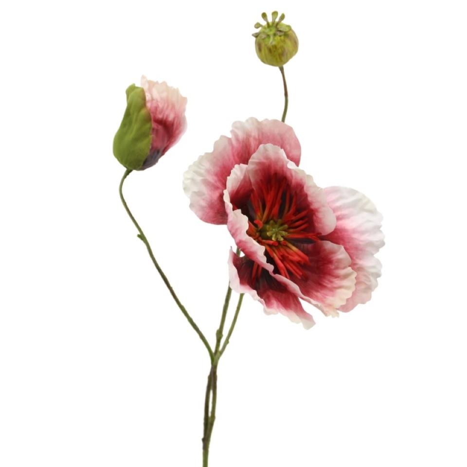Mohn x 3 beauty H58cm Mohn x 3 beauty H58cm