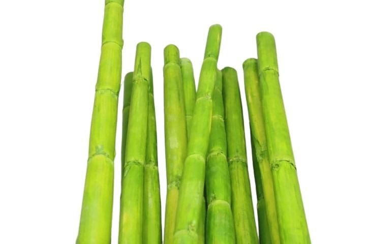 Canna Stiele 1Meter apfelgrün14 M