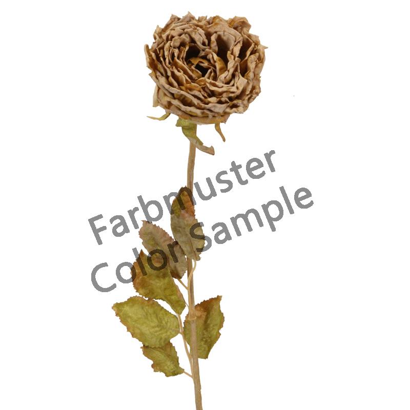 Rose Dry 53 cm braun