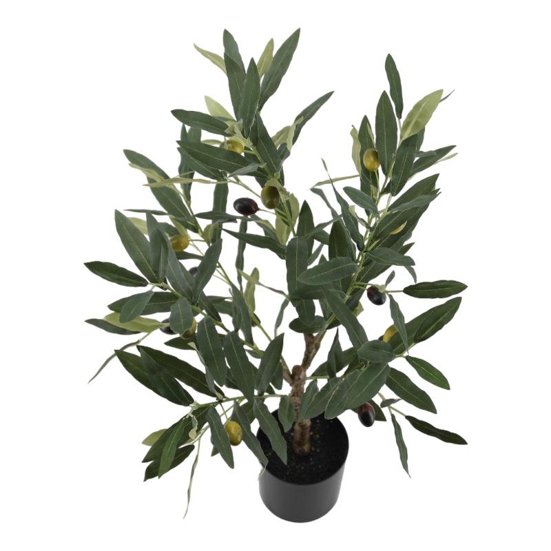 Olivenbaum 64 cm i. Topf grün Olivenbaum 64 cm i. Topf grün