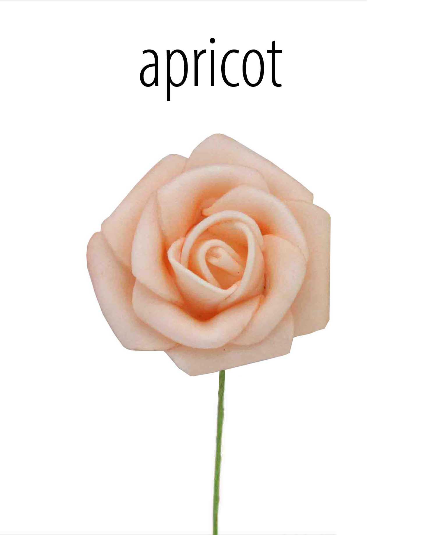 Foam-Rose apricot D6cm