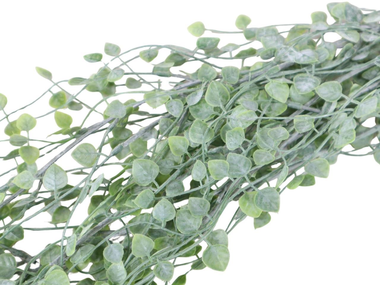 Ceropegia Hänger grün L85cm