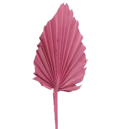 Palmspeer B10 H15 L50cm altrosa