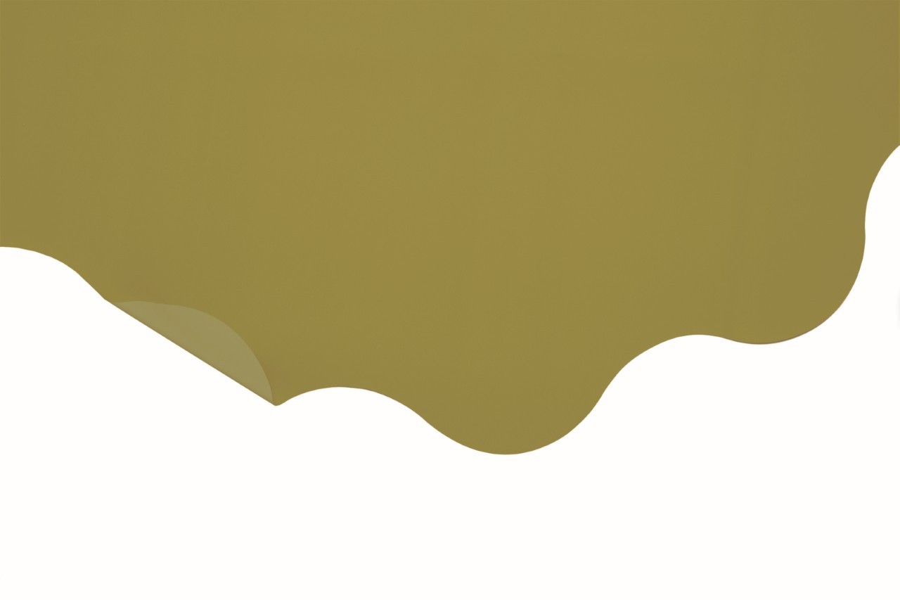 Rondella 60cm S-J06P1 BICOLOR  verde oliva  -68