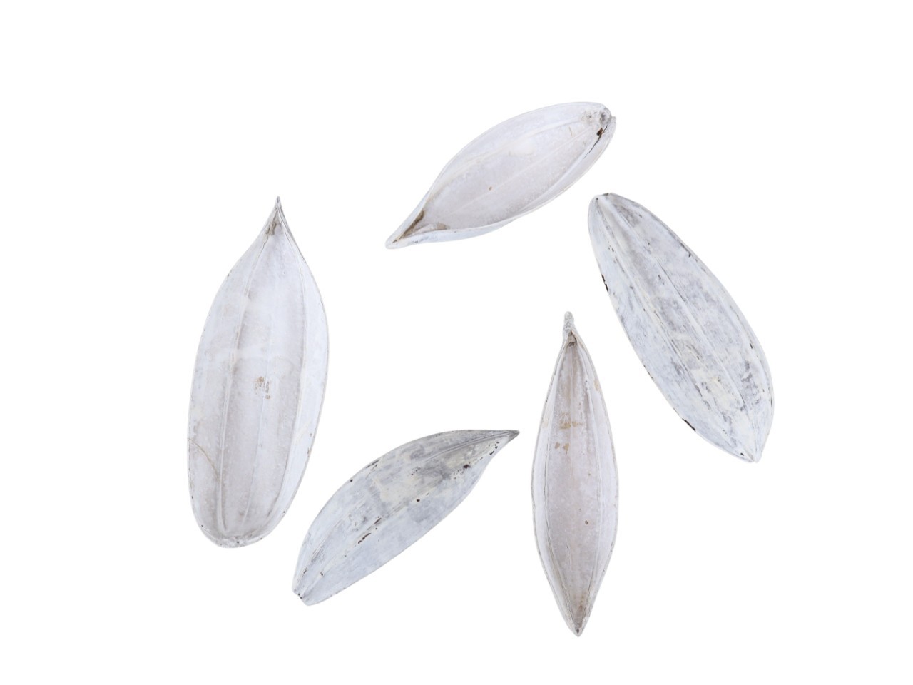 Cocos Boot mini white washed