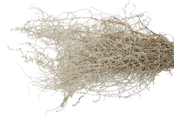 Stoebe 150gr. white washed