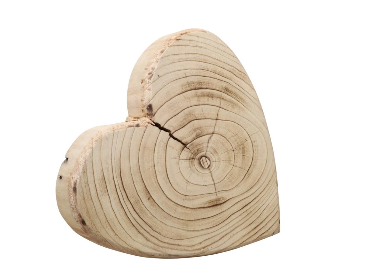 Herz Paulownia-Holz natur-geflammt D40x8cm Herz Paulownia-Holz natur-geflammt D40x8cm