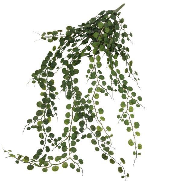 Ceropegiabusch hängend grün L86cm