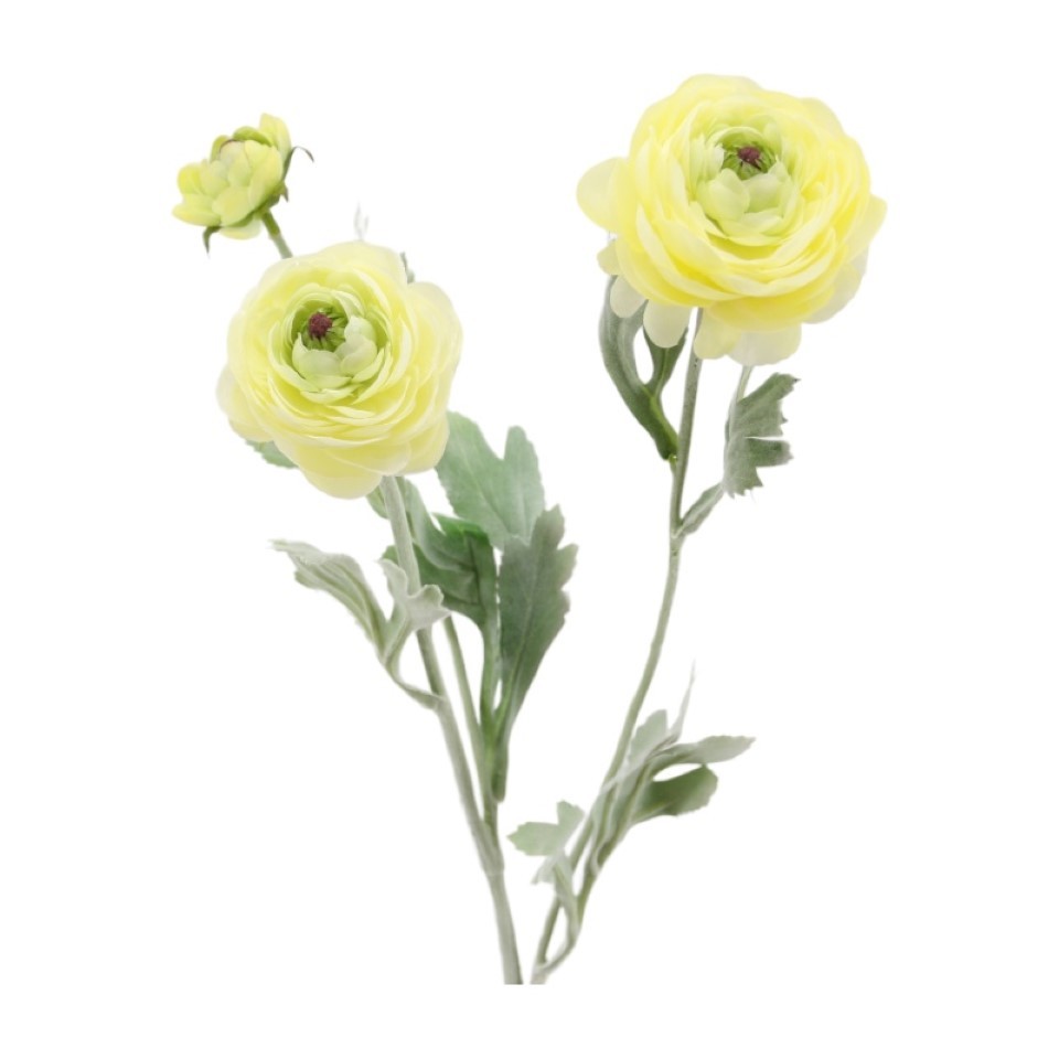Ranunkelzweig 2Blüten, 1 Knospe gelb-creme H50cm