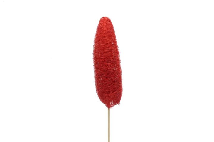 Luffa D4-6H10-15cm gesielt rot