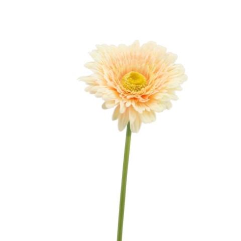 Gerbera 62 cm peach