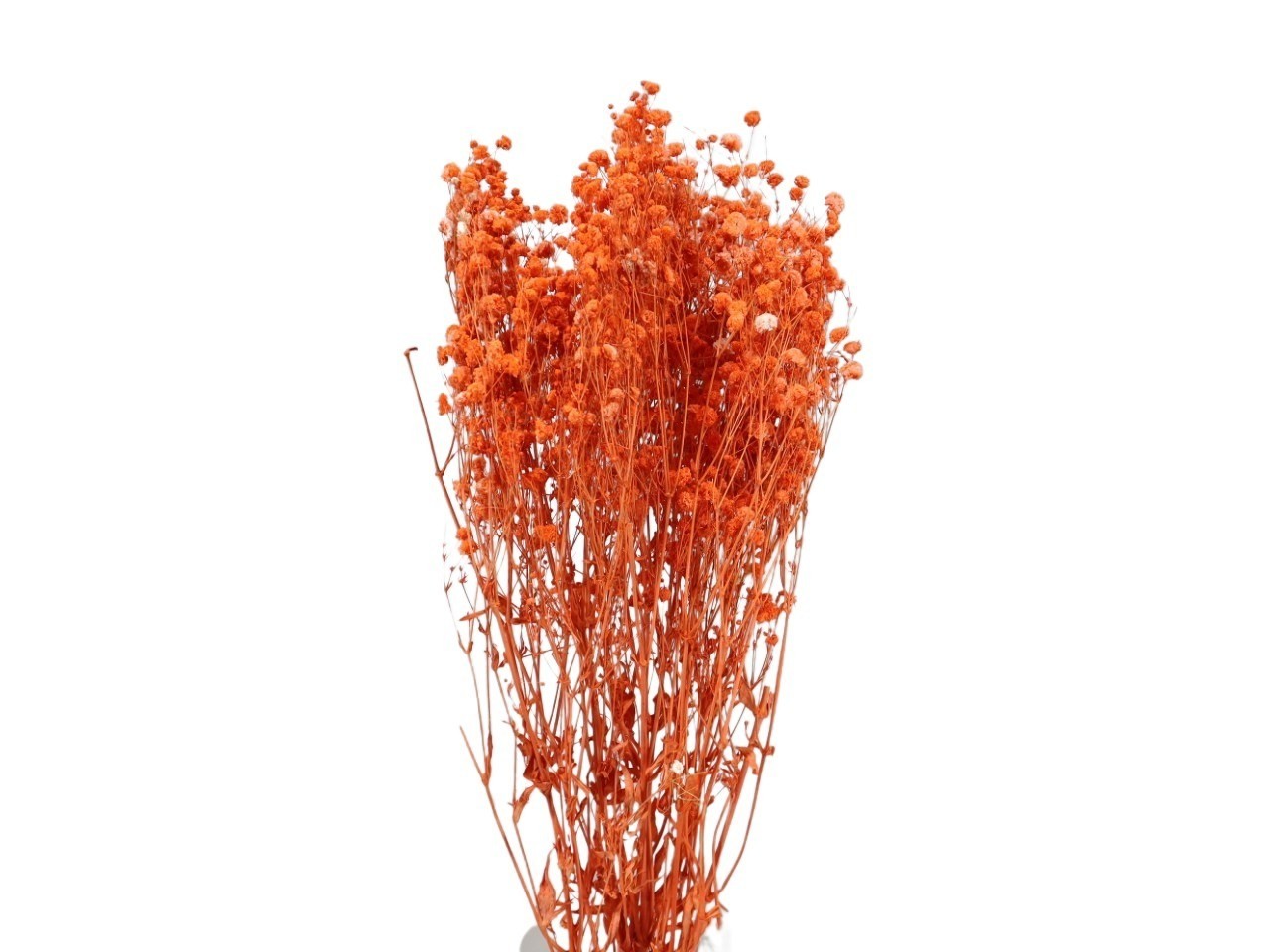 Gypsophila konserviert orange 110g Lca.70-80cm