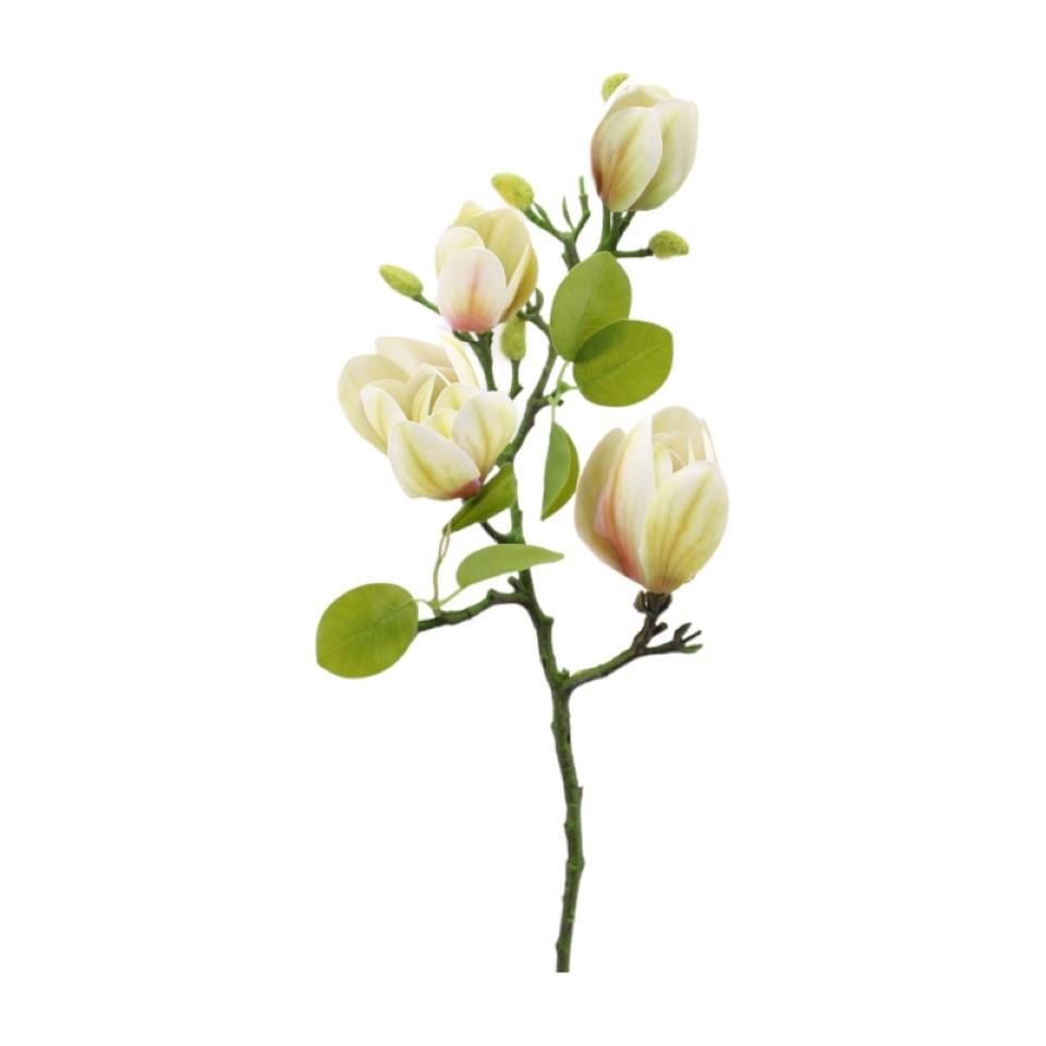 Magnolienzweig weiß-grün H66cm Magnolienzweig weiß-grün H66cm