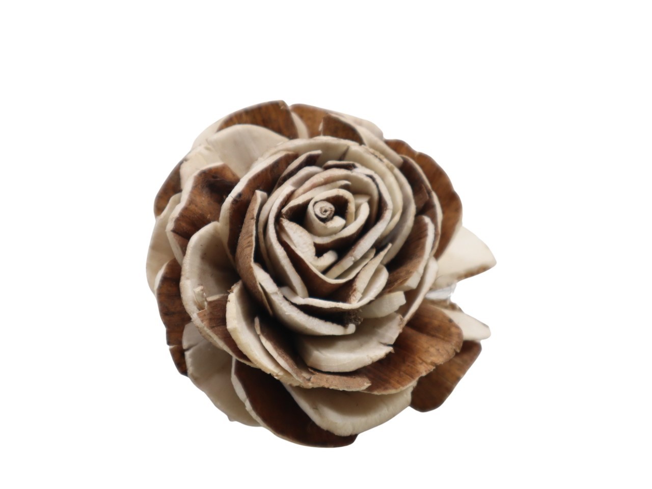 Rose Sola am Draht 8cm natur-braun