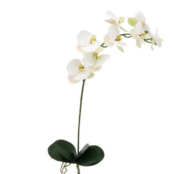 Phalaenopsis/Orchideenrispe m. Blatt H90cm creme