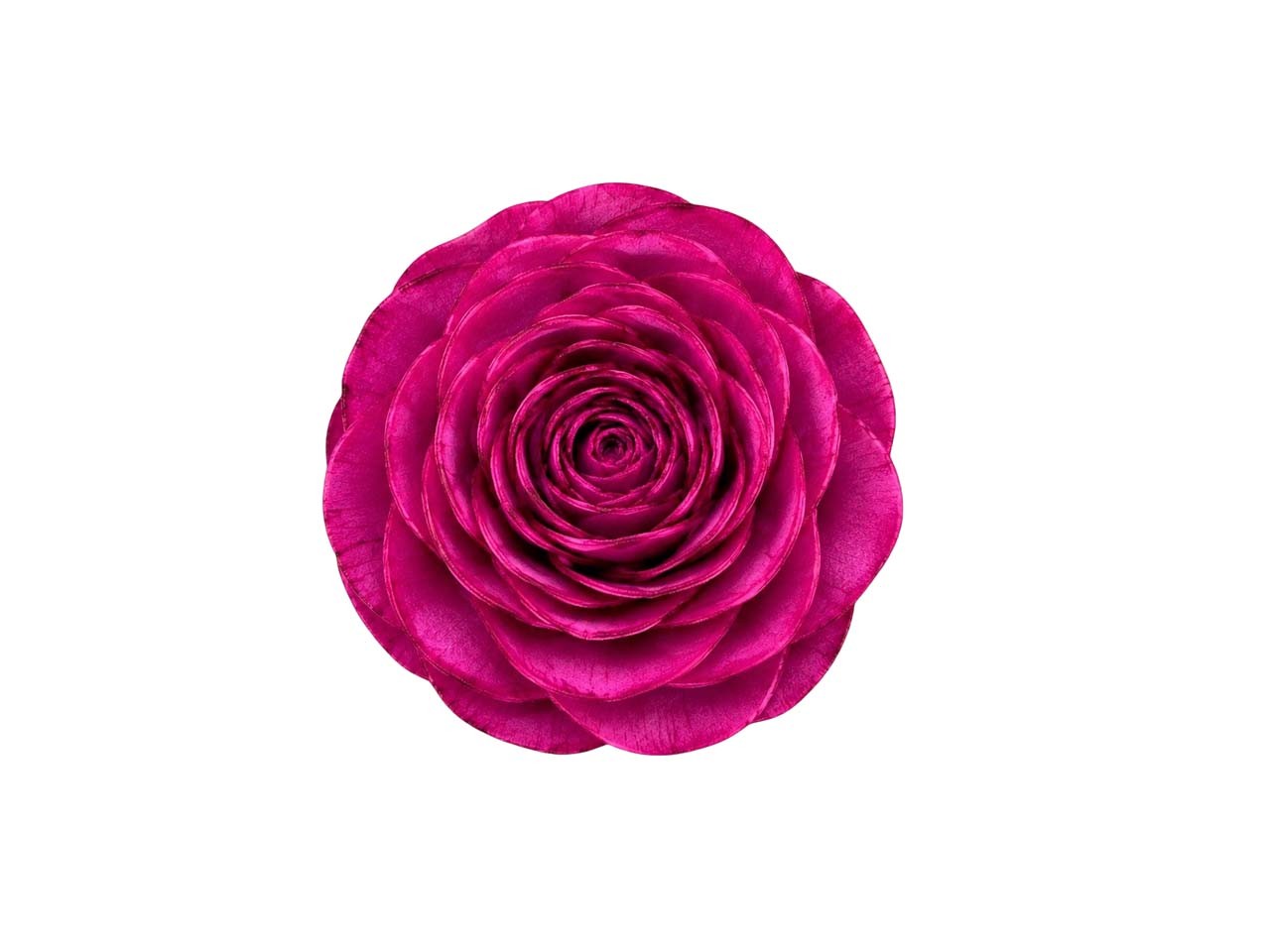 Rose Sola am Draht D8cm magenta