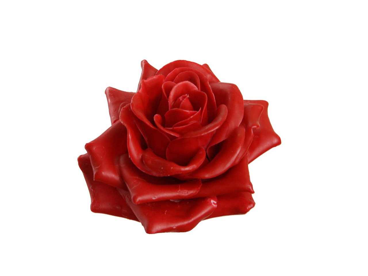 Rosenblüte Wachs 11cm rot in Holzbox