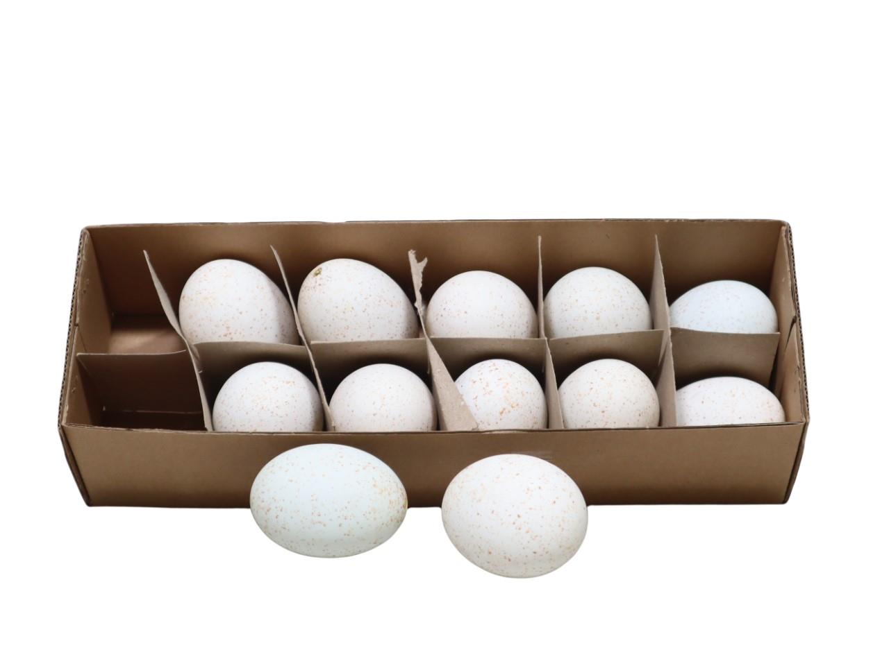 Truthahnei natur = Art. 2996