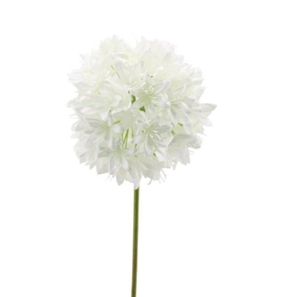 Allium 62cm weiss