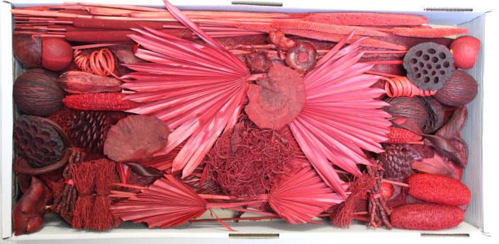 Exotensortiment indisch rot großer Karton Exotensortiment indisch rot großer Karton