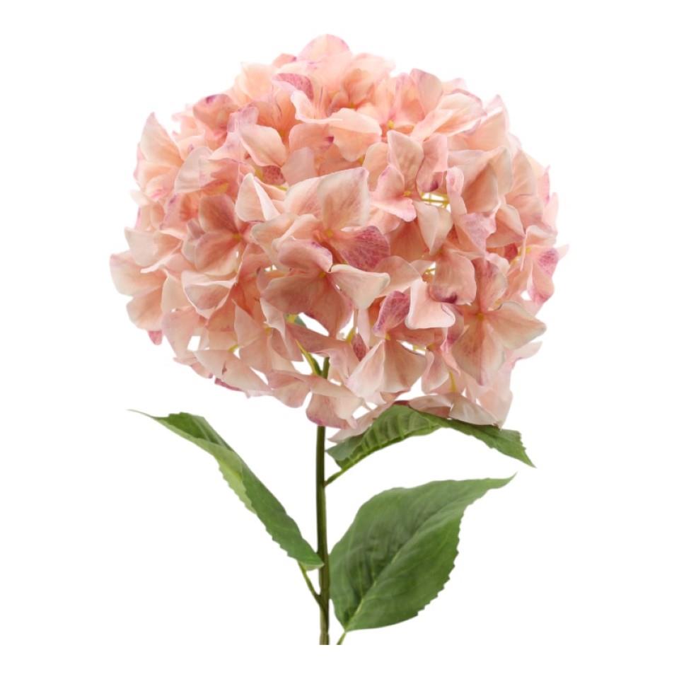 Hortensie XL rosa D30xH95cm