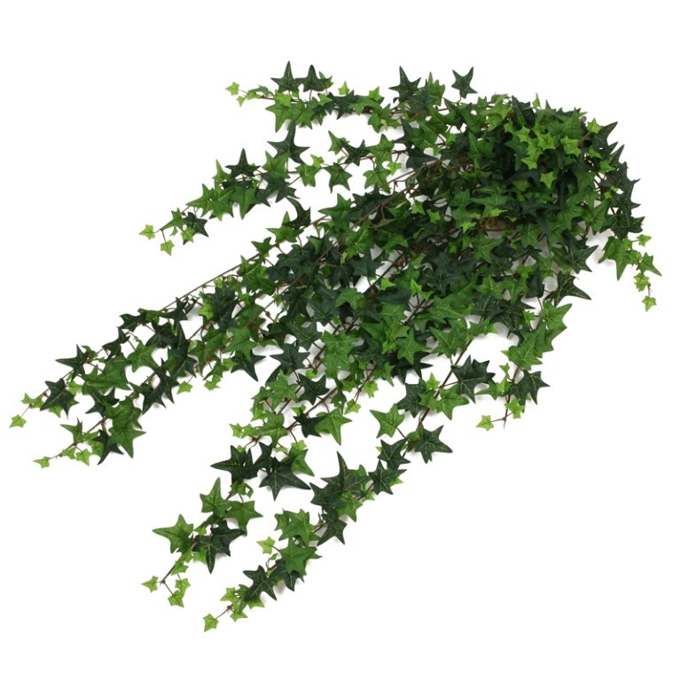 Efeubusch 90 cm 699 Blätter grün